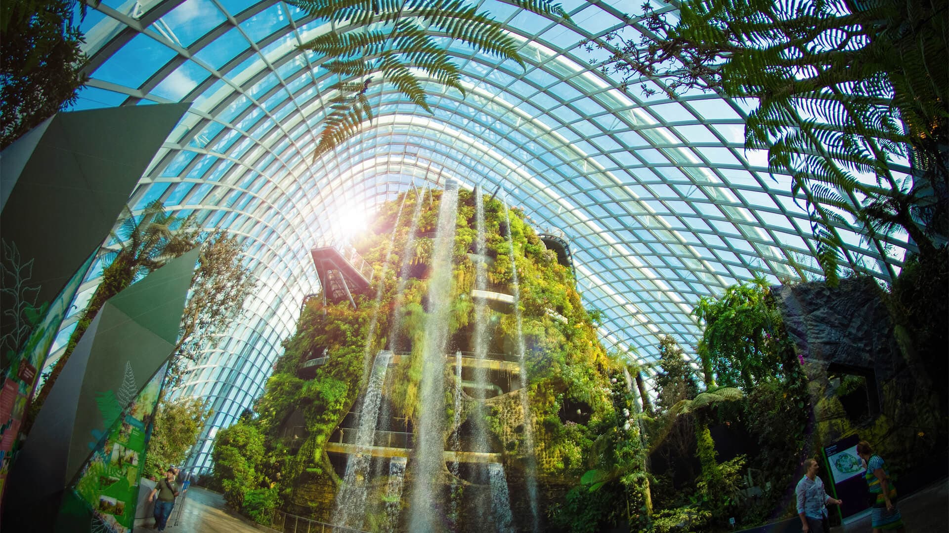 Singapore in 48 Hours: Futuristic Gardens & Wildlife After Dark